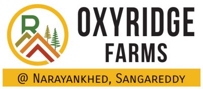Farm Lands for sale near Sangareddy